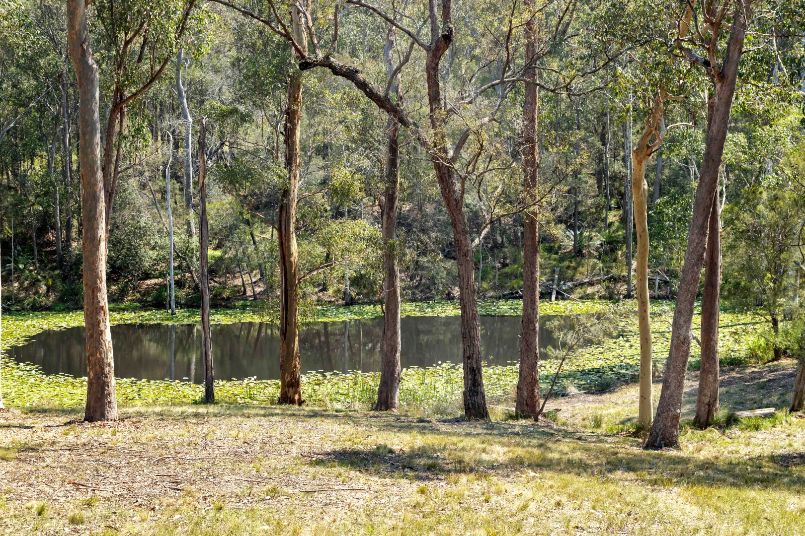 Additional image 29 of 17 Batemans Road, North Batemans Bay NSW 2536