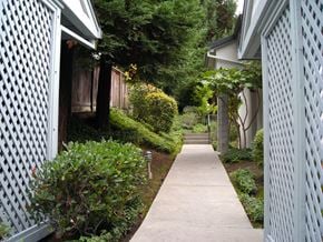 Additional image 4 of 1782 D Street, Hayward, CA, 94541