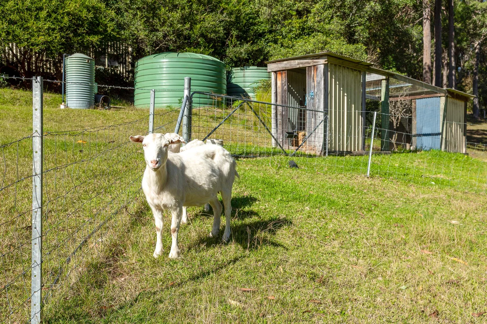 Additional image 32 of 29 Timber Barge Lane, Benandarah NSW 2536