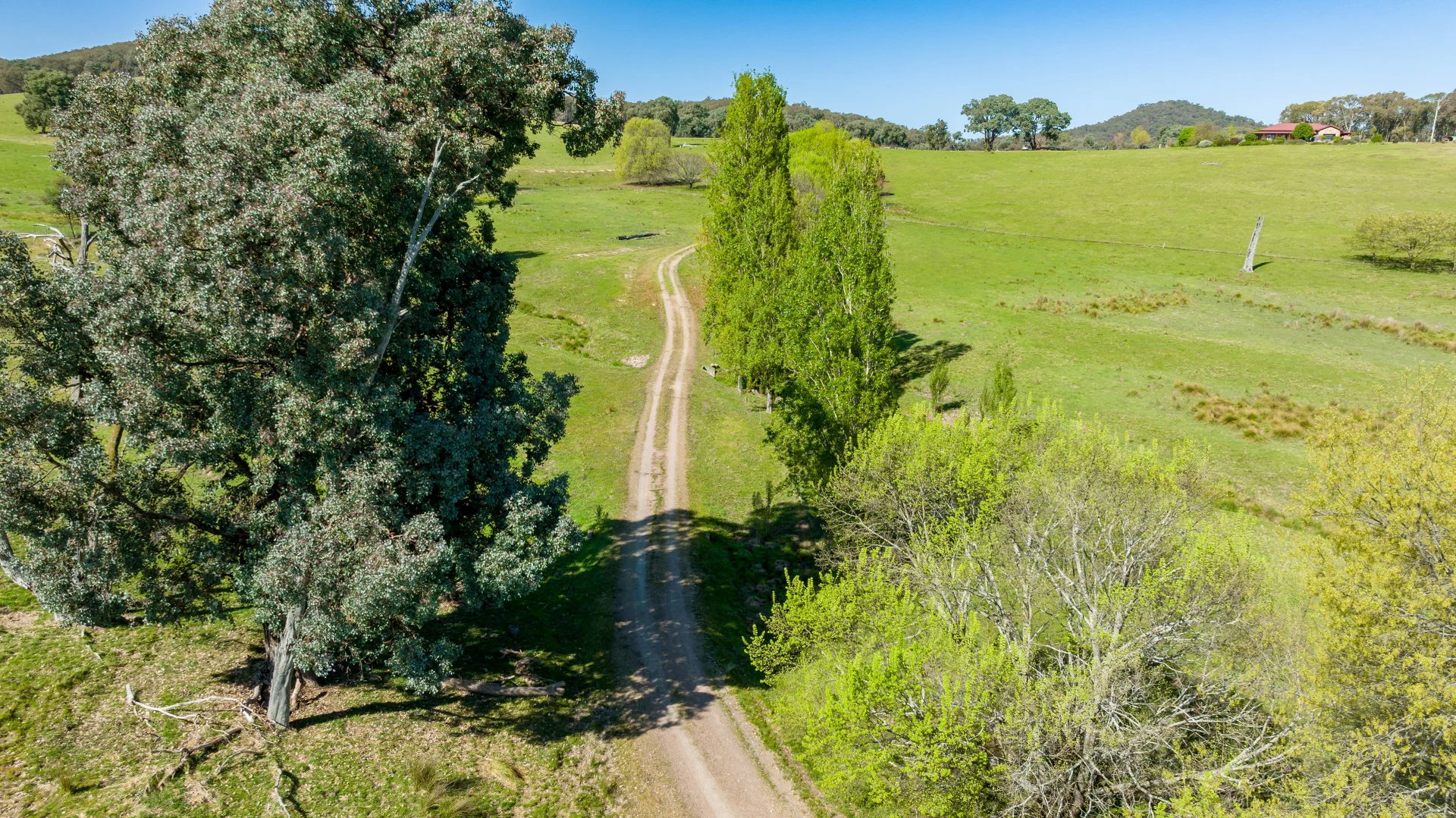 Additional image 4 of 1596 Four Mile Lane, Little Billabong NSW 2644