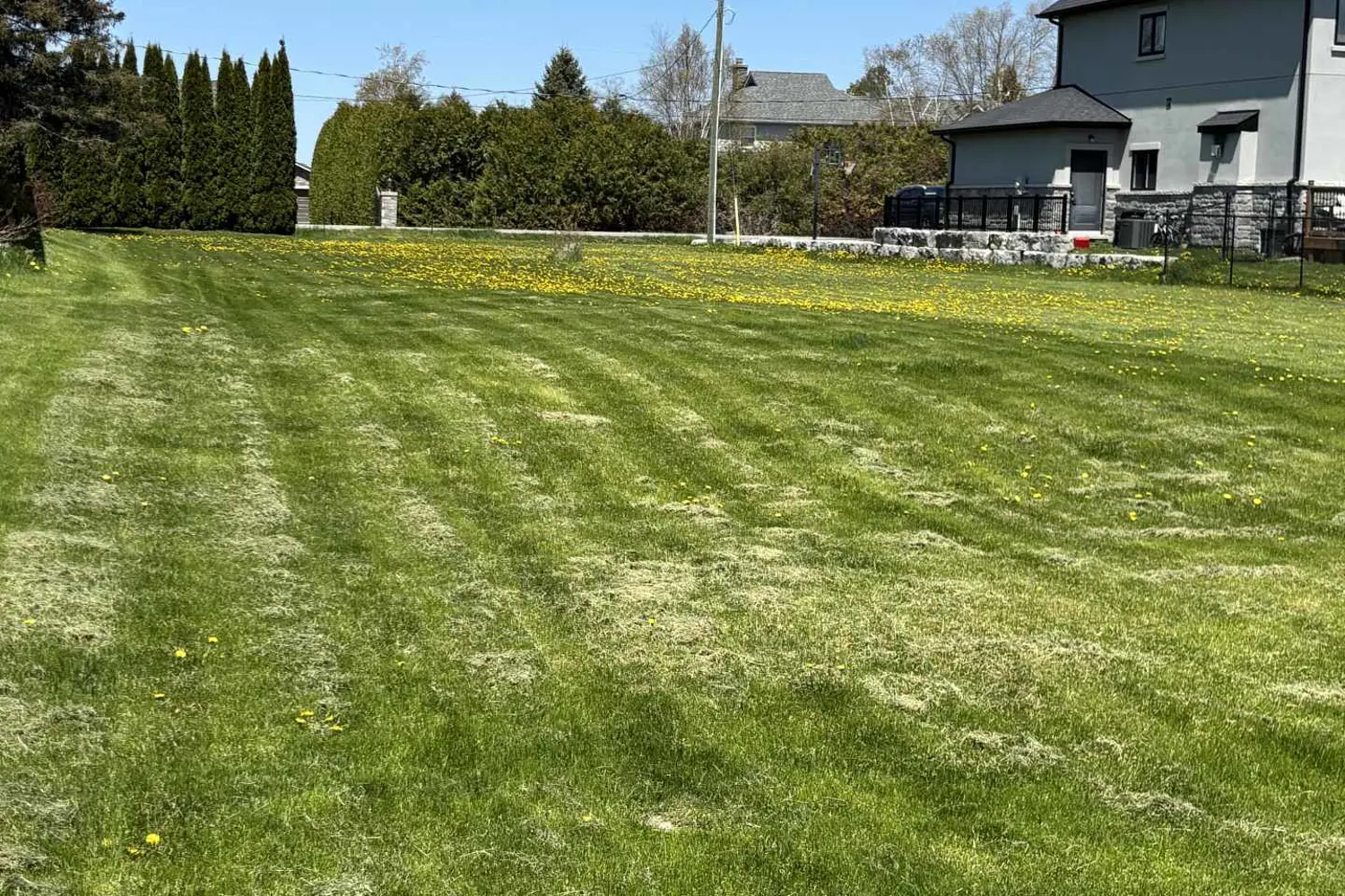 Additional image 5 of 7657 Black River Road