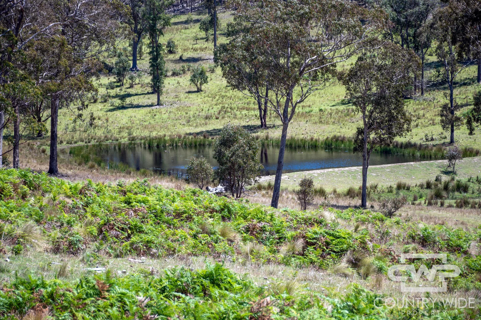 Additional image 23 of 11, - Ten Mile Rd, Deepwater NSW 2371