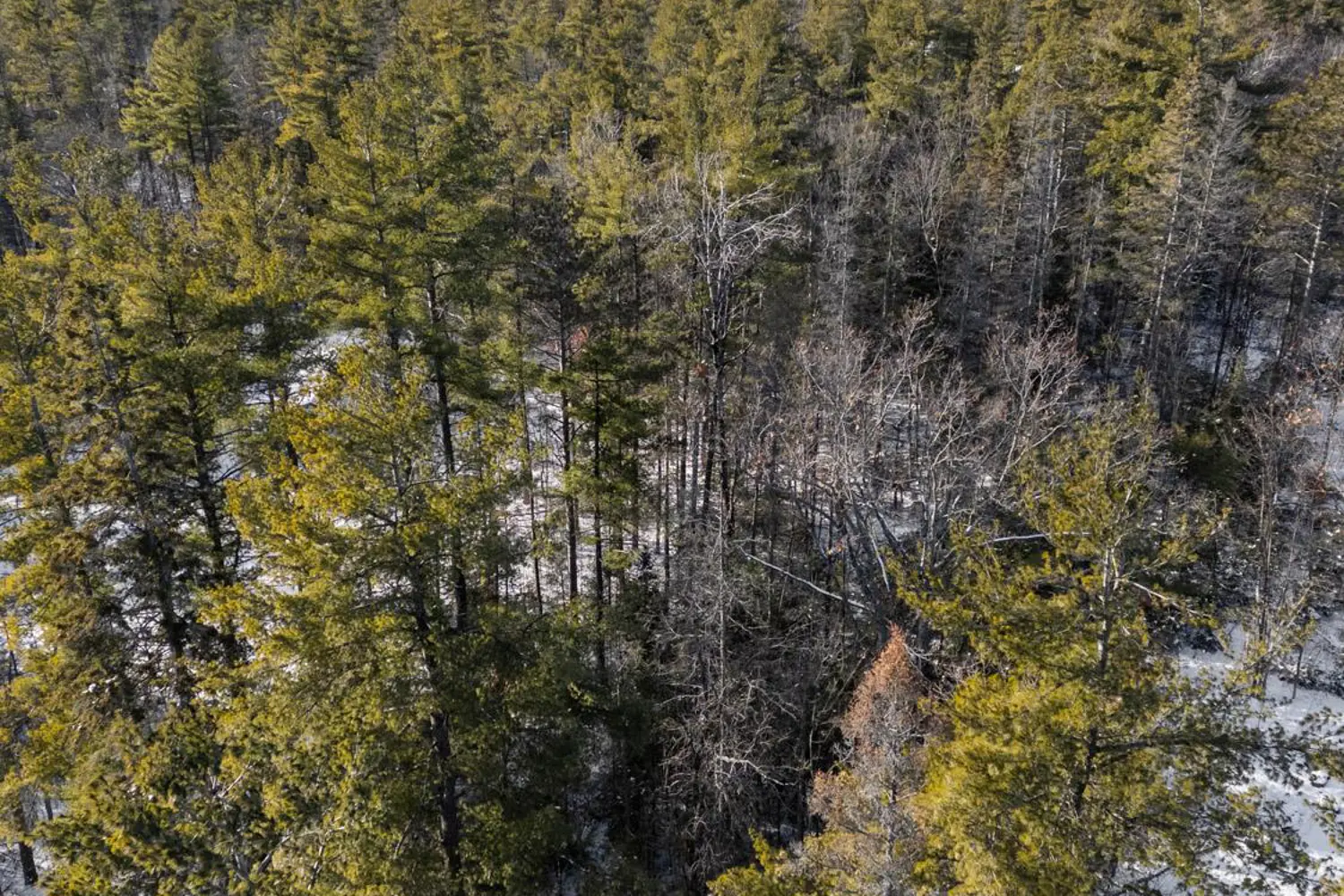 Additional image 3 of 34 Pineview Court