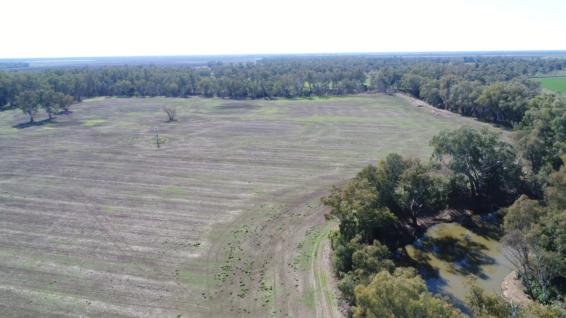 Additional image 10 of Warren NSW 2824