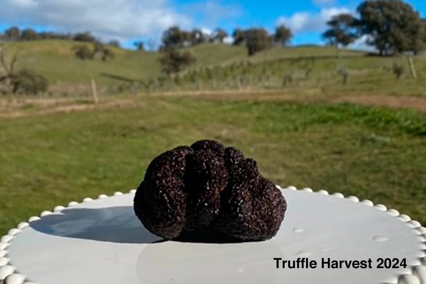 Additional image 23 of 679 Dallistons Road, Barfold VIC 3444