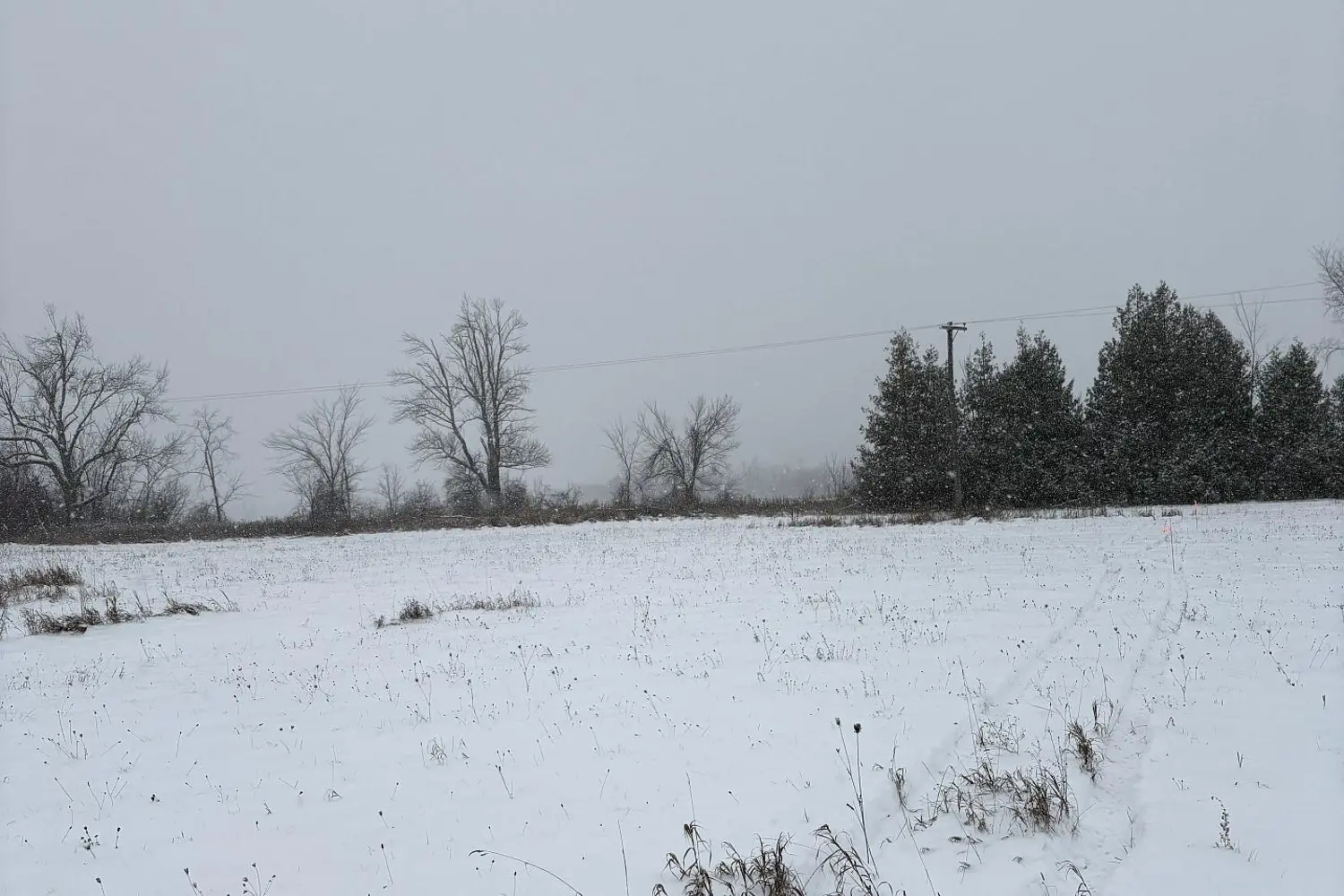 Additional image 8 of 0 Douro Third Line