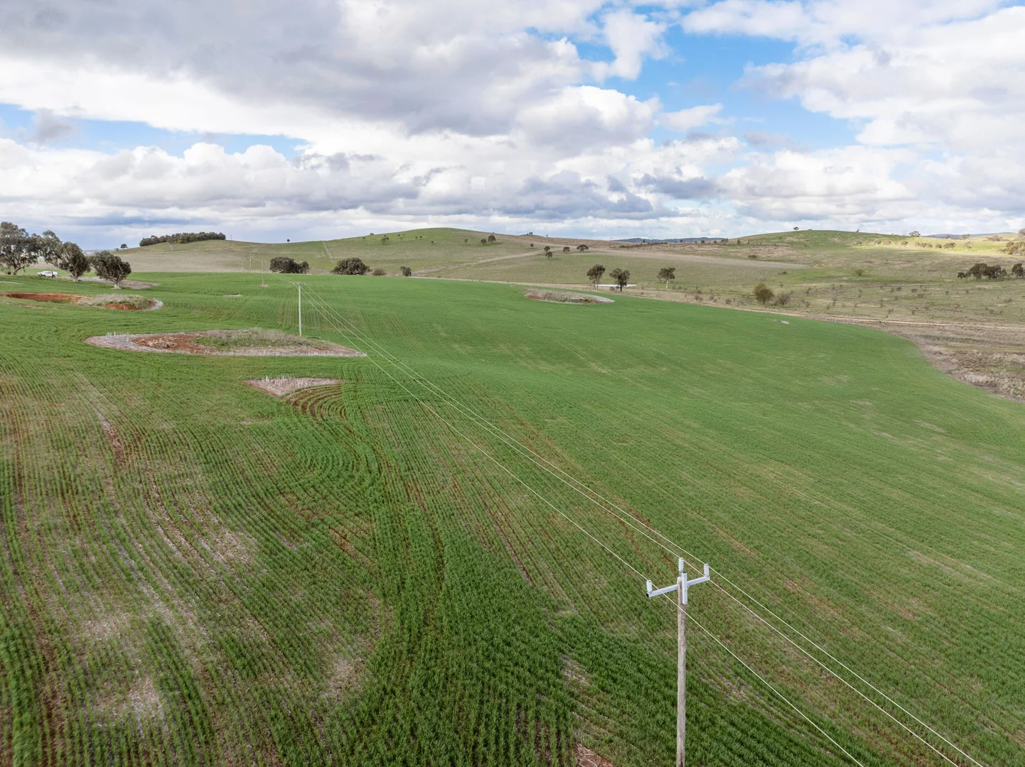 Additional image 12 of 'Darmody's', 969 Brial Rd, Boorowa NSW 2586