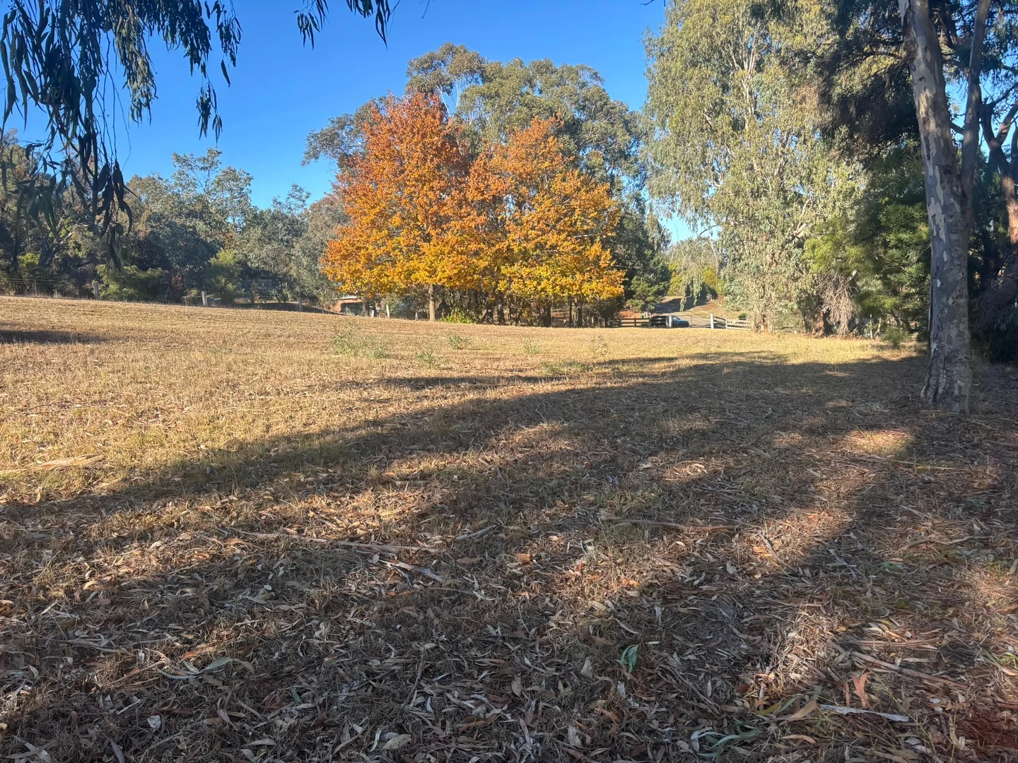 Additional image 3 of 7 Cathedral Close, Buxton VIC 3711