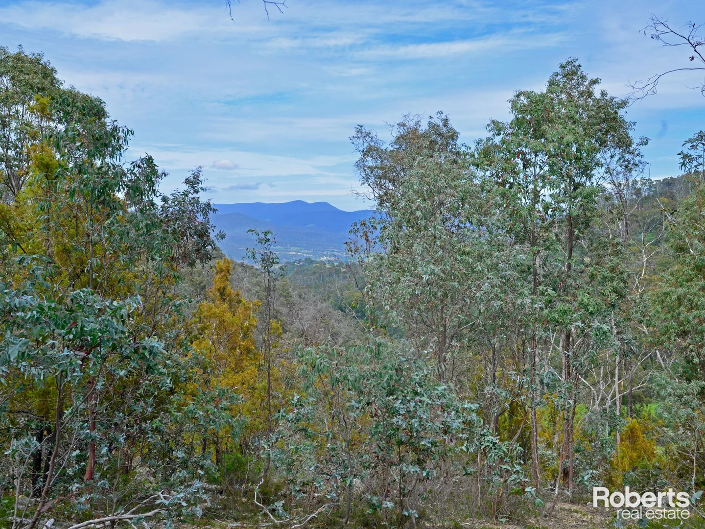 Additional image 14 of 869 Back River Road, Magra TAS 7140