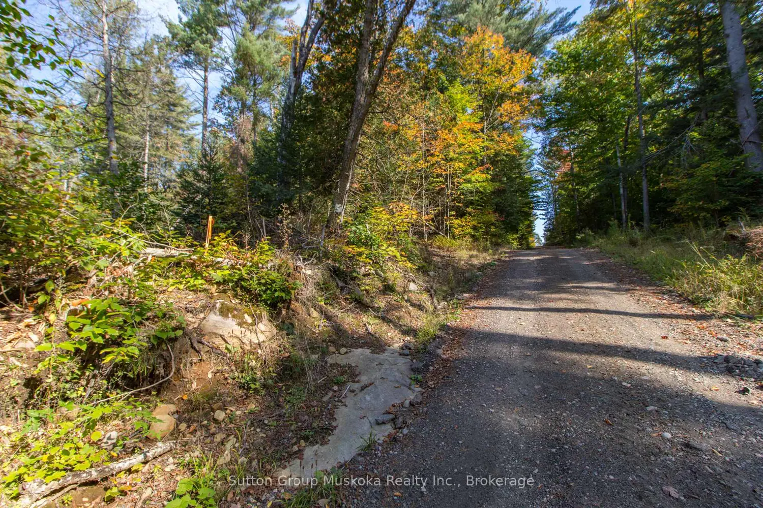 Additional image 3 of 0 Lynx Lake Road