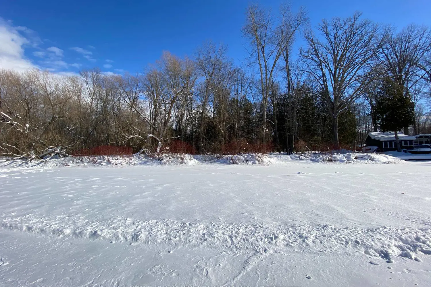 Additional image 14 of 11 Knox Road