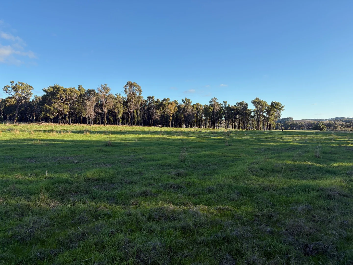 Additional image 2 of Lot 245 & Donnybrook-Boyup Brook Road, Glen Mervyn WA 6239