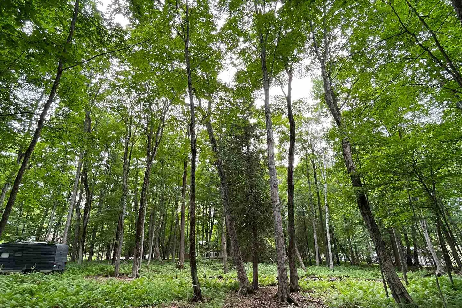 Additional image 19 of 11 Knox Road