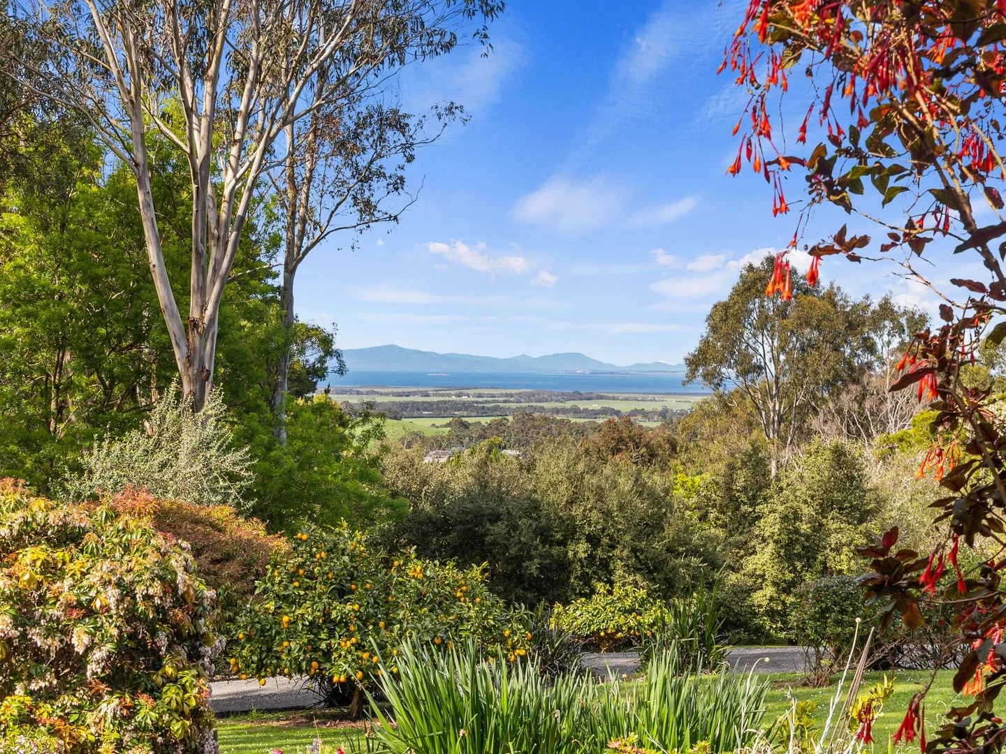 305 Ameys Track, Foster VIC 3960