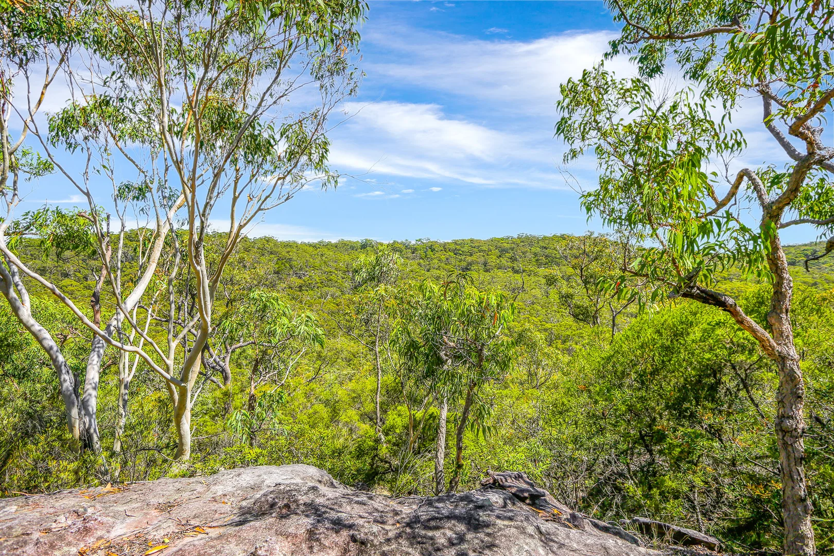 Additional image 12 of 7 Marra Avenue, Canoelands NSW 2157