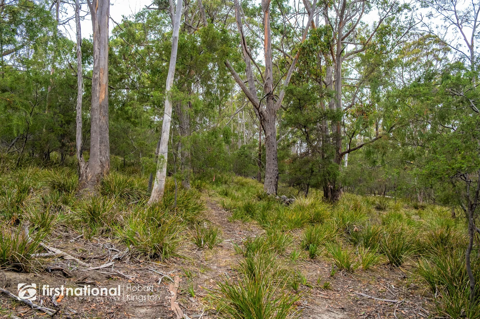 Additional image 20 of 110 Bruny Island Main Road, North Bruny TAS 7150