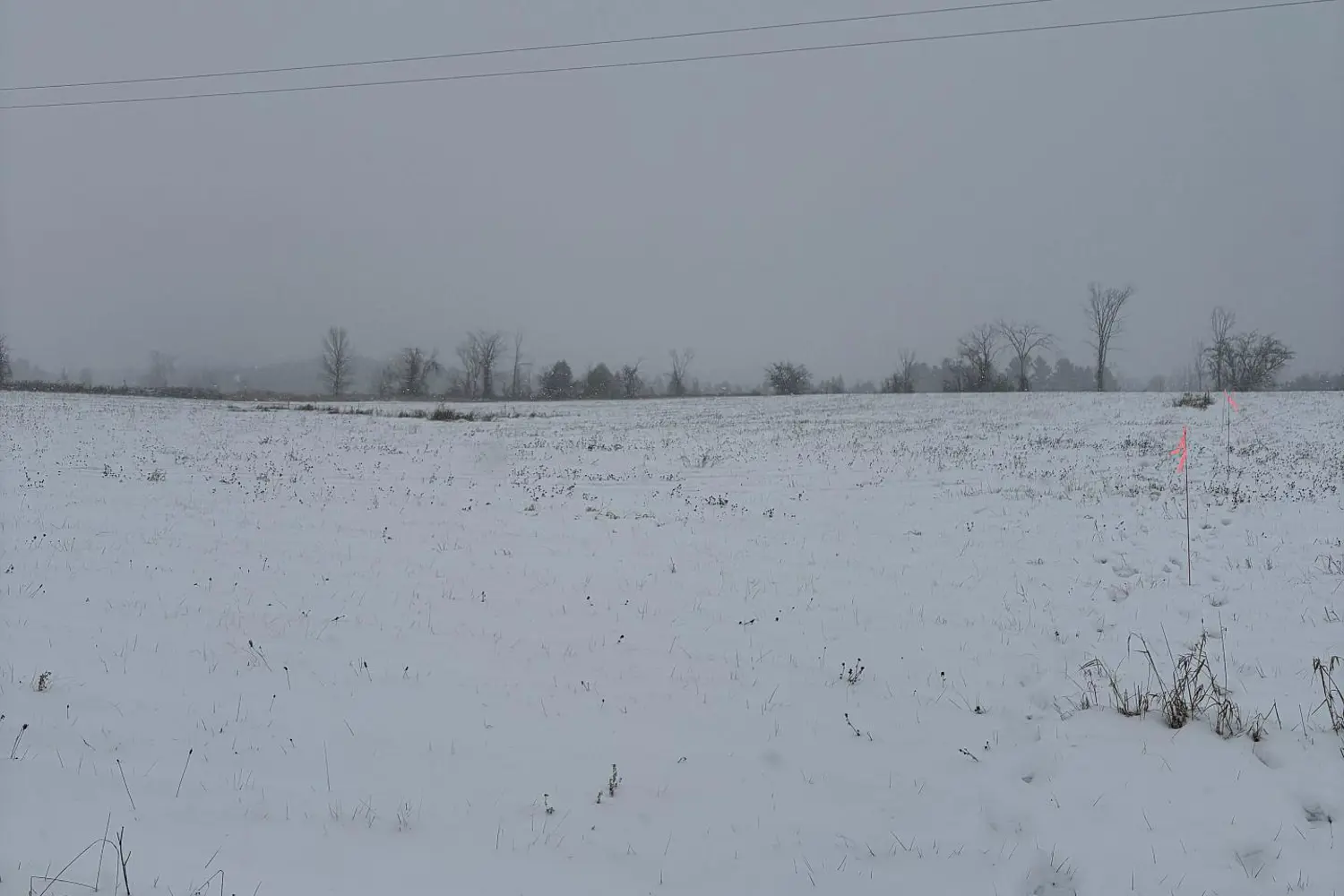 Additional image 13 of 0 Douro Third Line