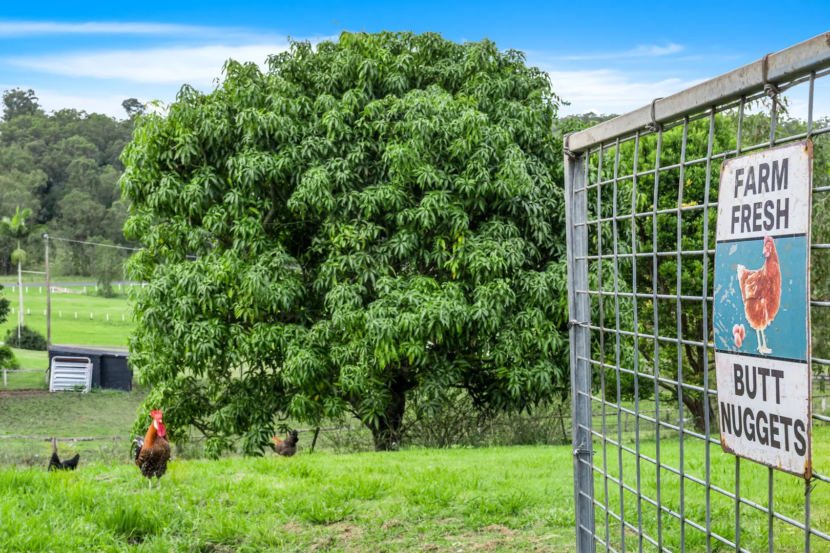 Additional image 10 of 36 Omagh Road, Geneva NSW 2474