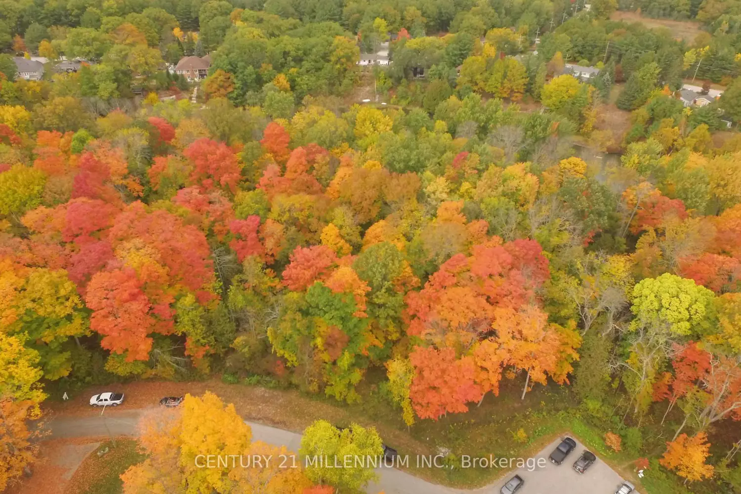 Additional image 10 of 11 Knox Road