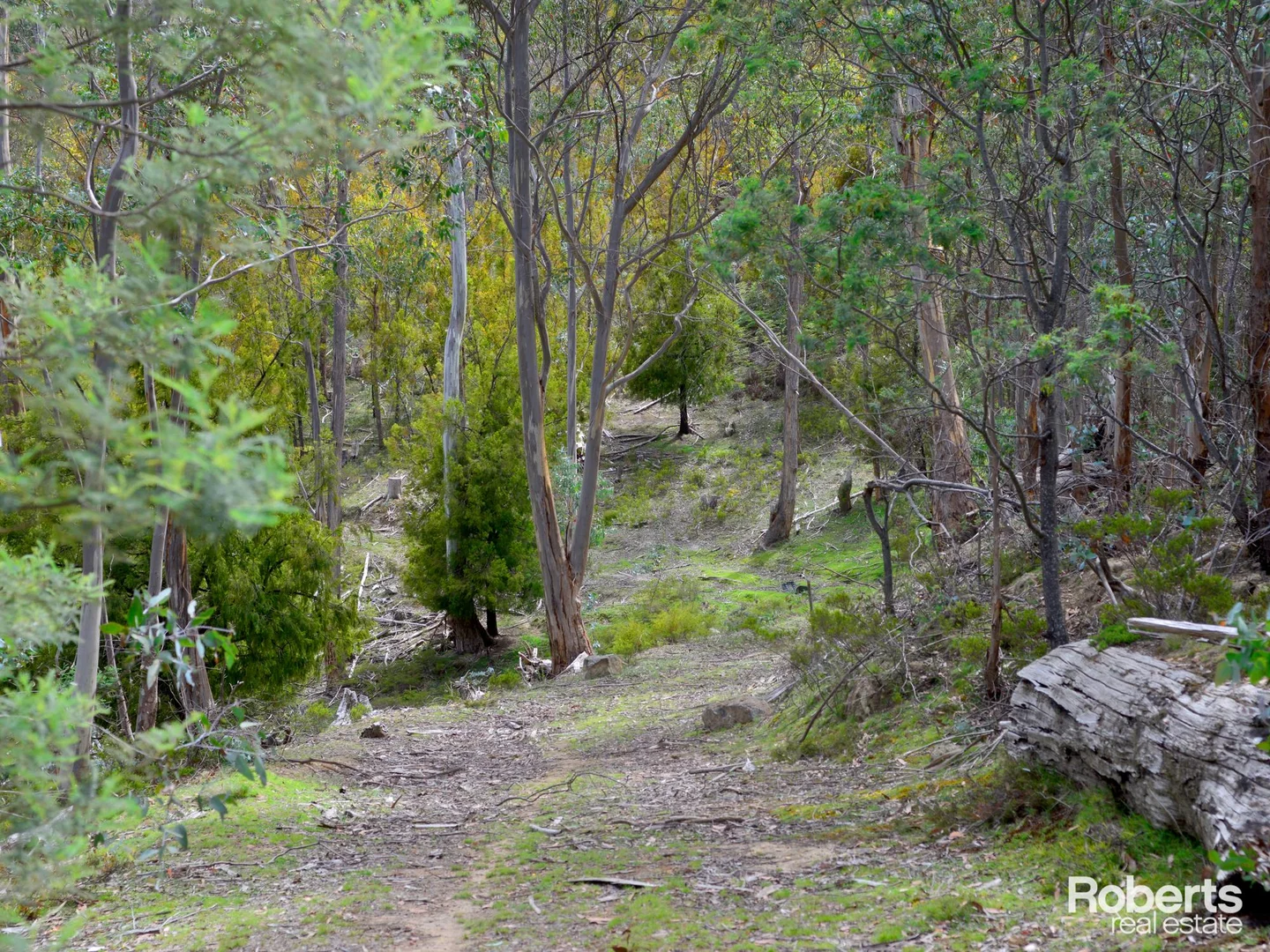 Additional image 9 of 869 Back River Road, Magra TAS 7140