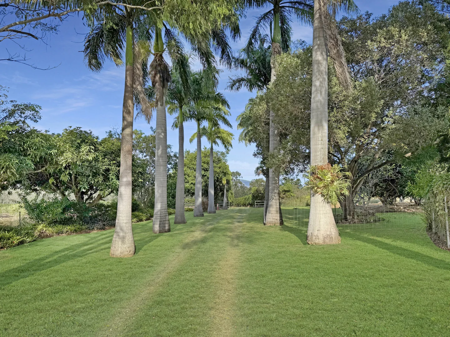 Additional image 32 of 362 Springmount Road, Mutchilba QLD 4872