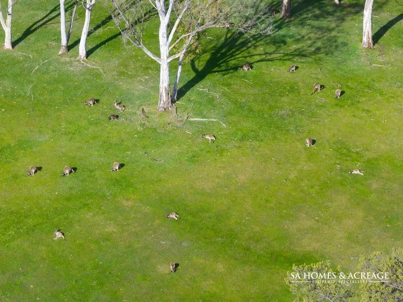 Additional image 20 of Lot 7 Harveys Quarry Road, Williamstown SA 5351