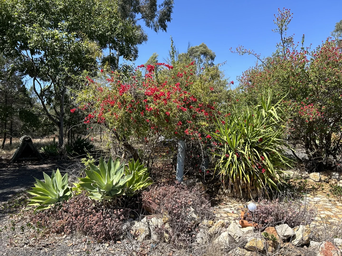 Additional image 10 of 261 Machaness Road, Tara QLD 4421