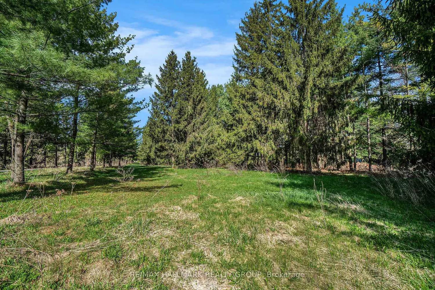 942 Cameron Street photo 3