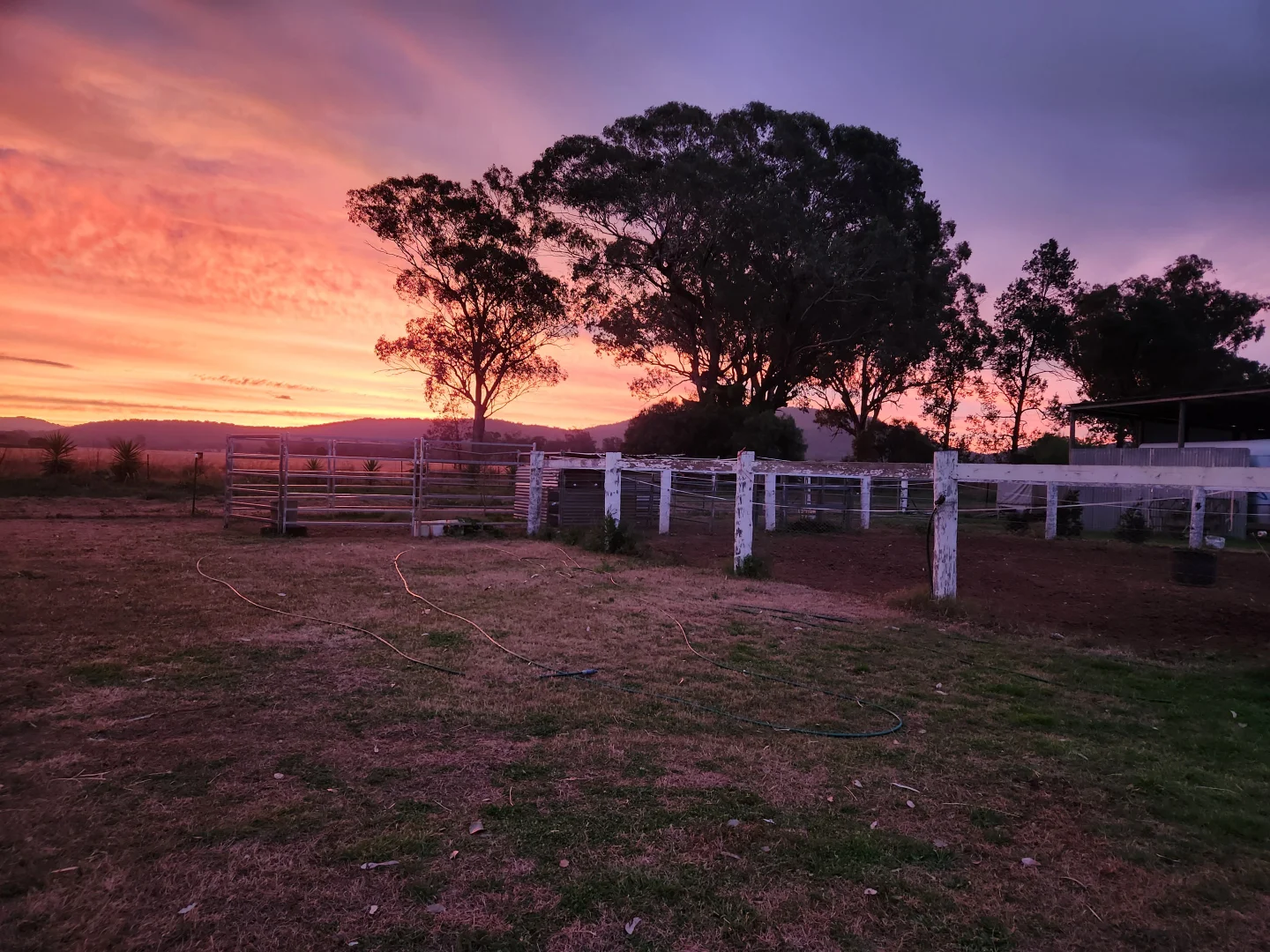 Additional image 17 of 164 Voca Rd, Curlewis NSW 2381