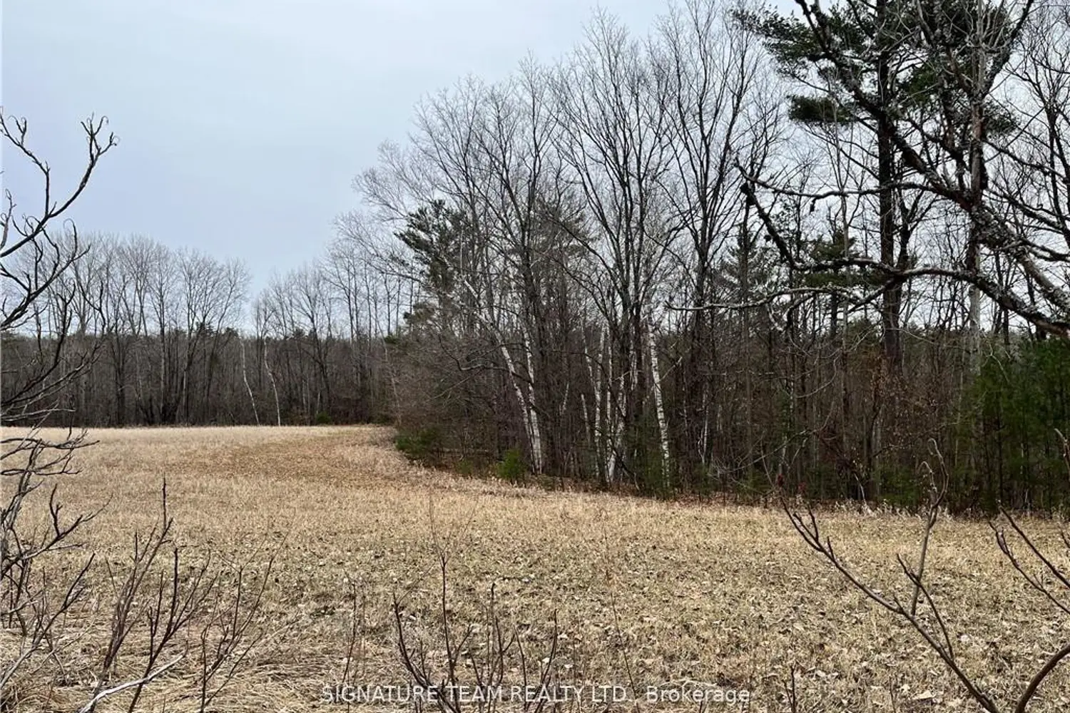 Additional image 9 of 0 Grant Settlement Road