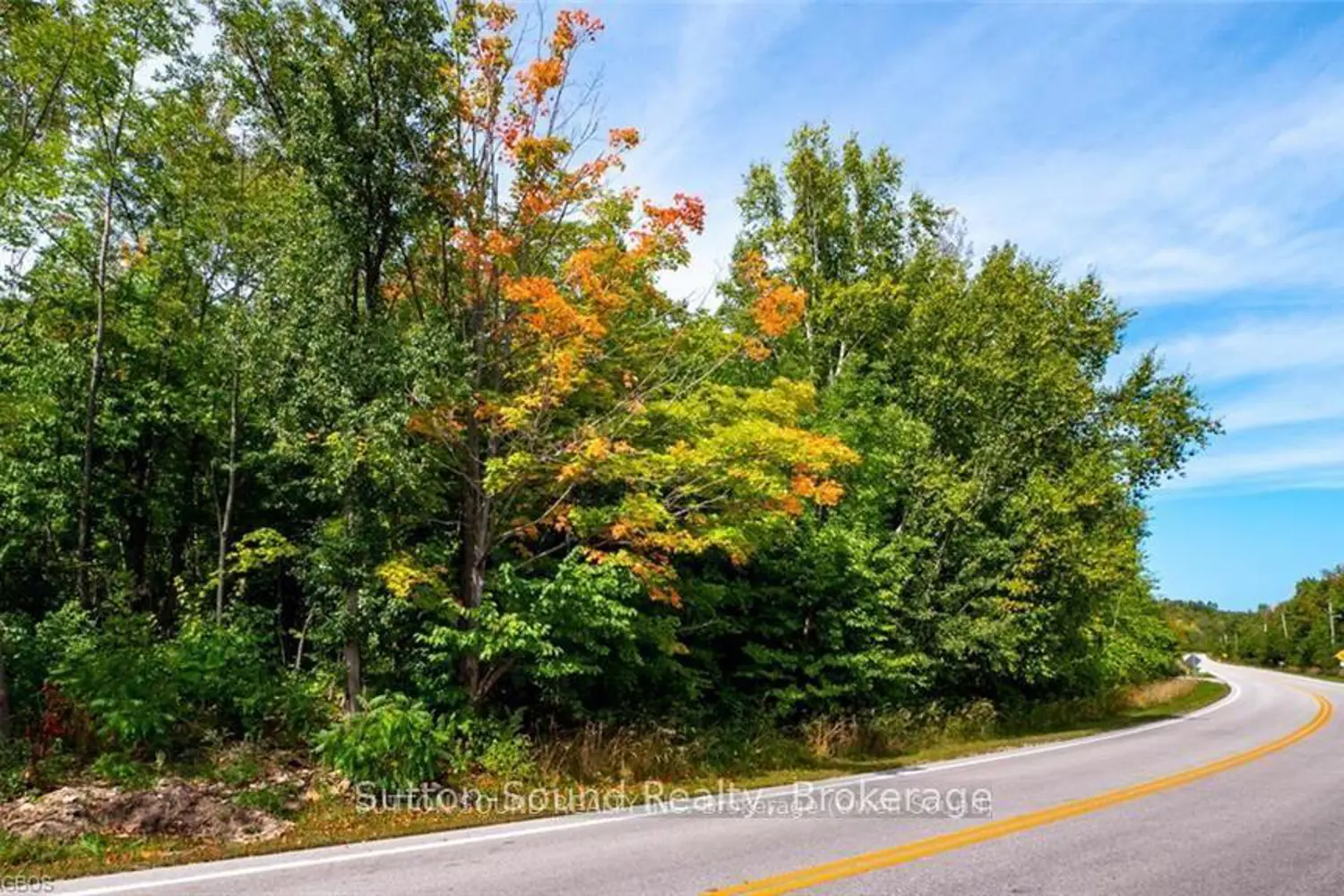 Additional image 13 of 505404 Grey Road 1