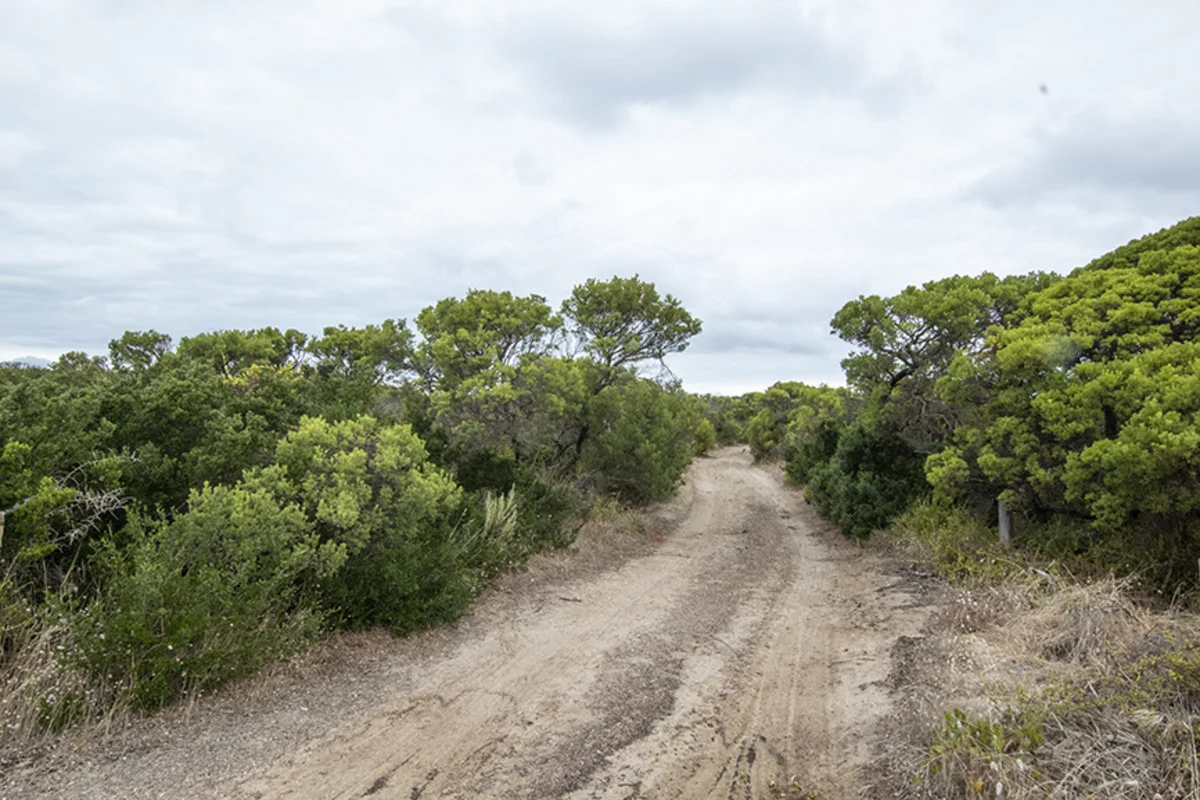 Additional image 3 of Section 101 Nugent Road, Foul Bay SA 5577