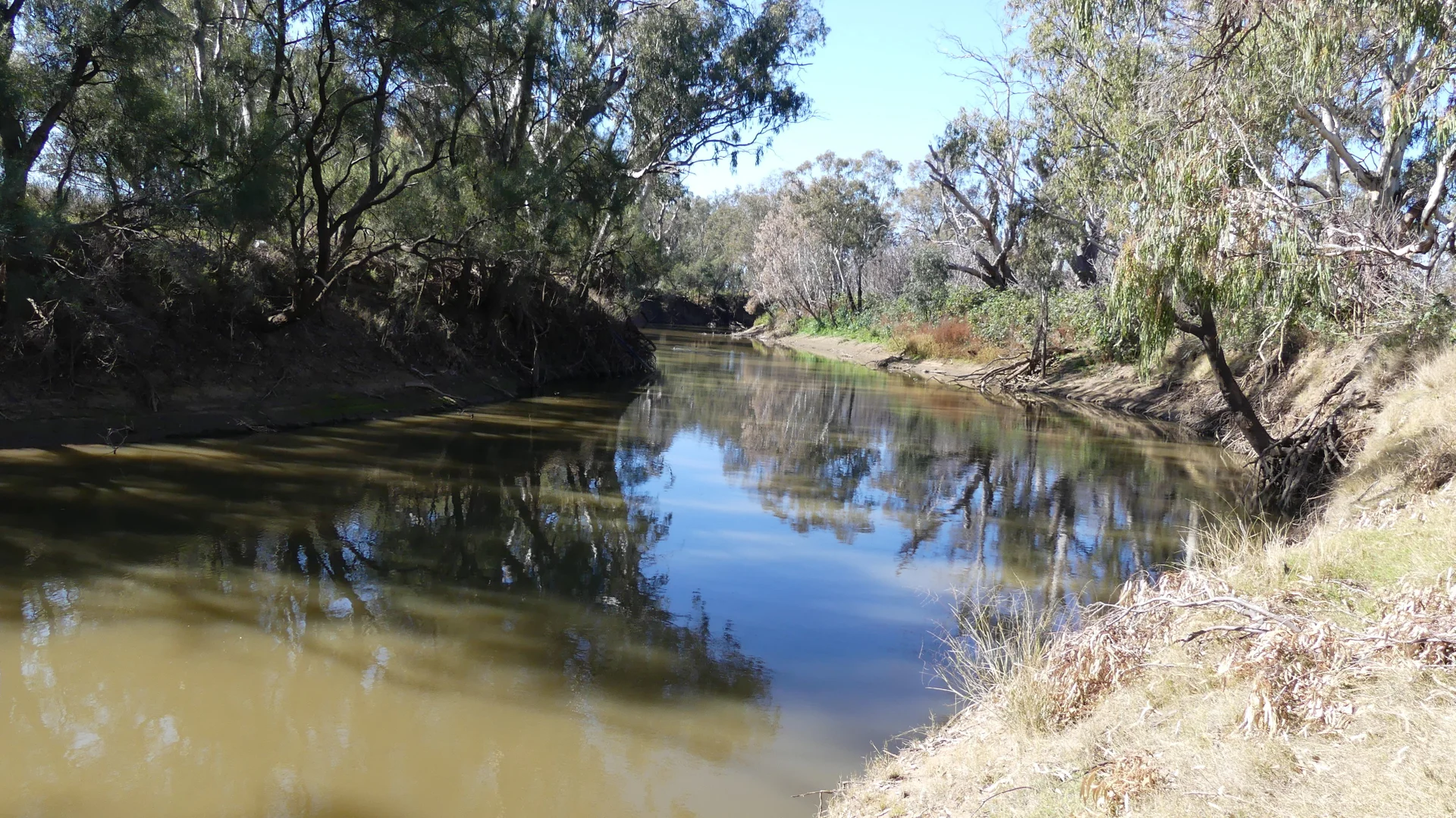 Additional image 6 of Warren NSW 2824