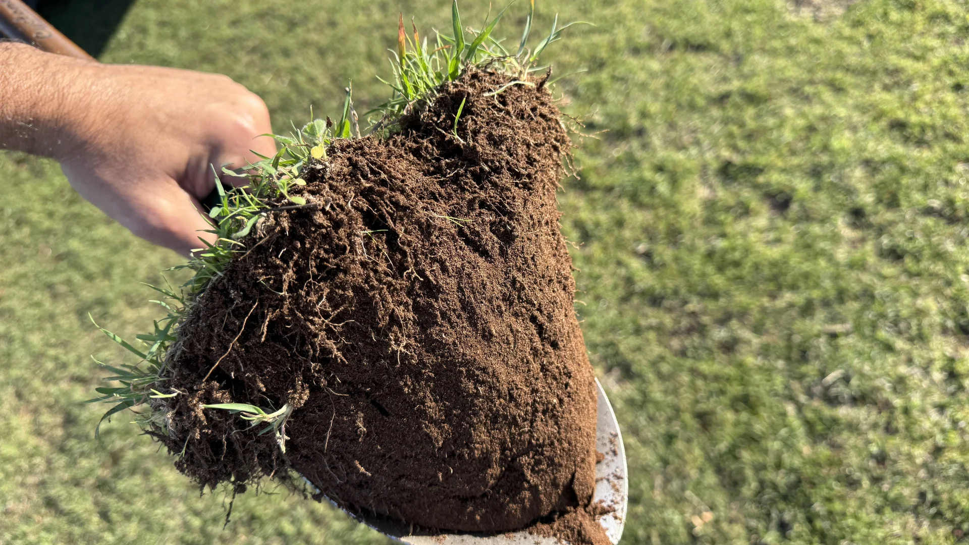 Additional image 12 of 175 Pethers Lane, Millicent SA 5280