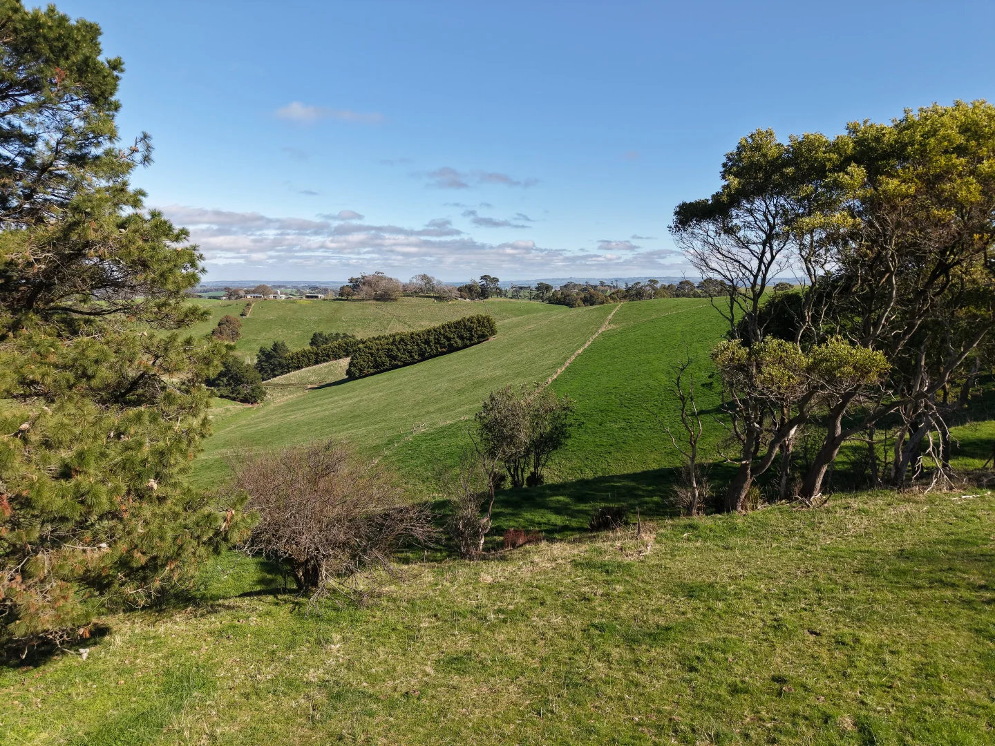 Additional image 4 of 950 Mardan Road, Mardan VIC 3953