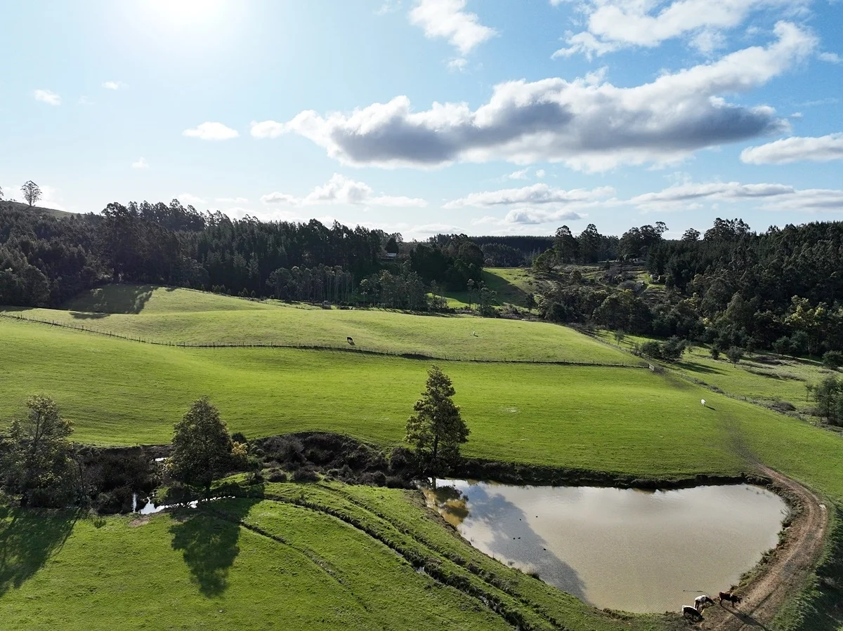 Additional image 27 of 148 Holmes Road, Roland TAS 7306