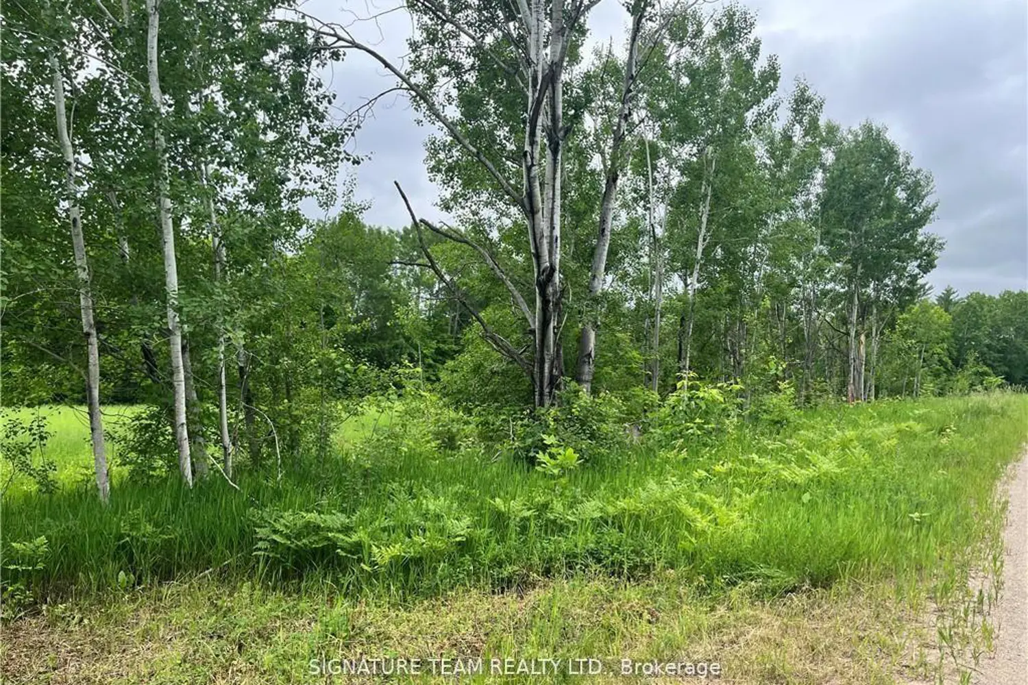 Additional image 5 of 0 Grant Settlement Road