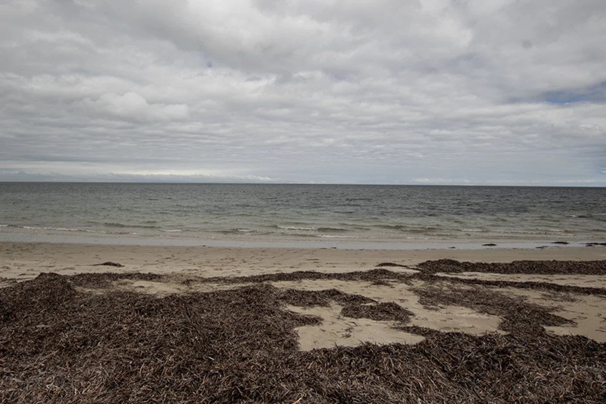 Additional image 9 of Section 101 Nugent Road, Foul Bay SA 5577