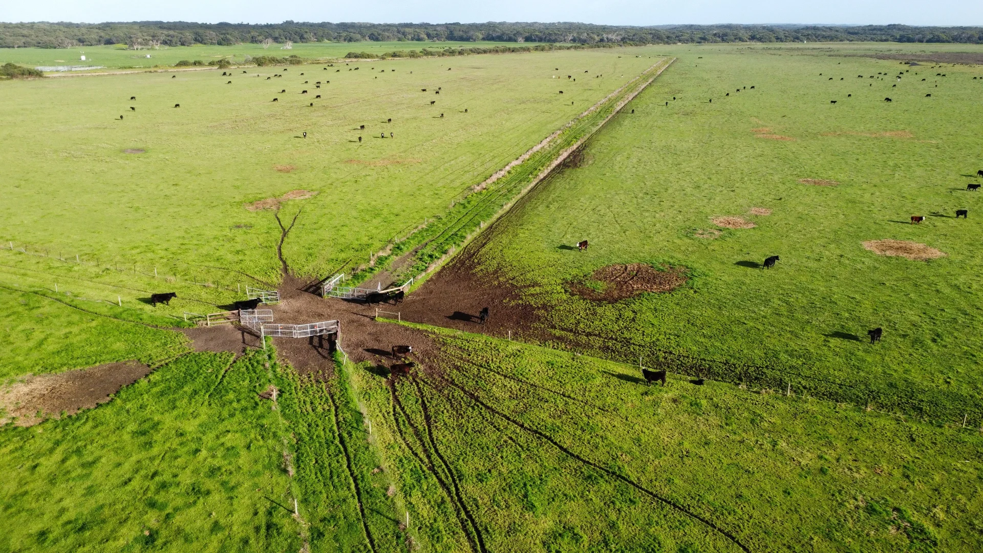 Additional image 18 of 703 Bog Lane, Nora Creina SA 5276