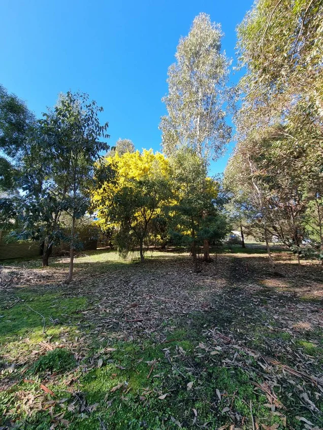 Additional image 4 of 13 Bundaleer Drive, Halls Gap VIC 3381