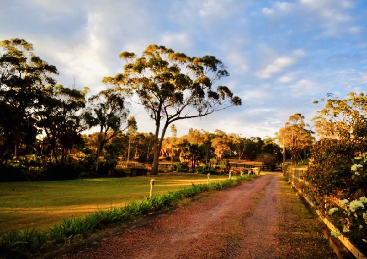 Additional image 11 of 63 Ghilkes Road, Somersby NSW 2250