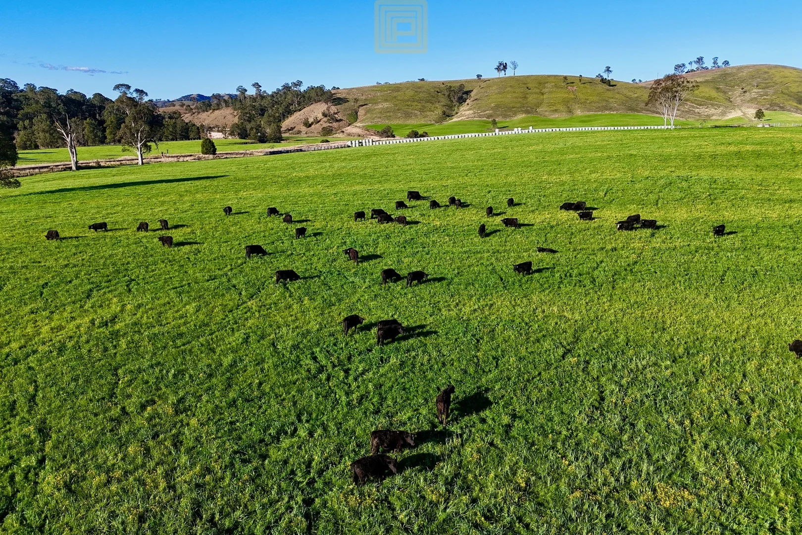 Additional image 11 of 455 The Bucketts Way, Gloucester NSW 2422