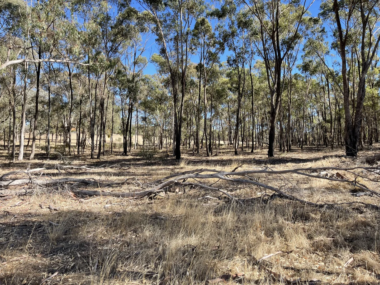 Additional image 18 of 1 Corner Wimmera Highway & Carr Road, St Arnaud VIC 3478