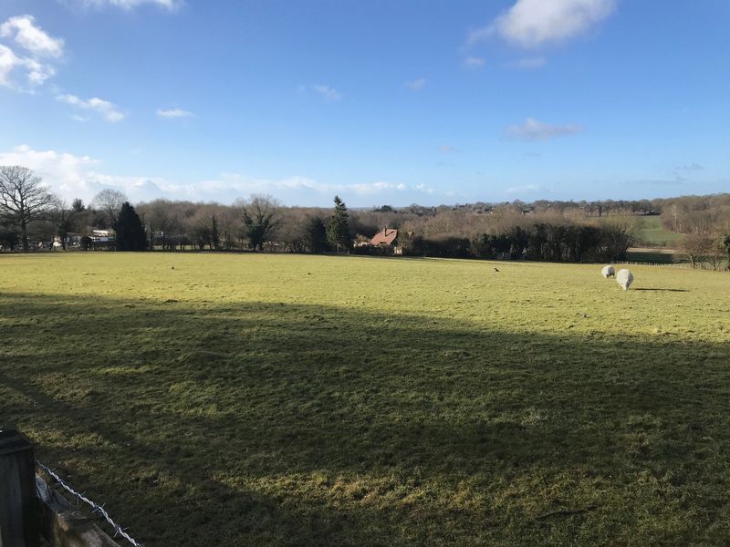 Land to rentHamstreet, Ashford TN26