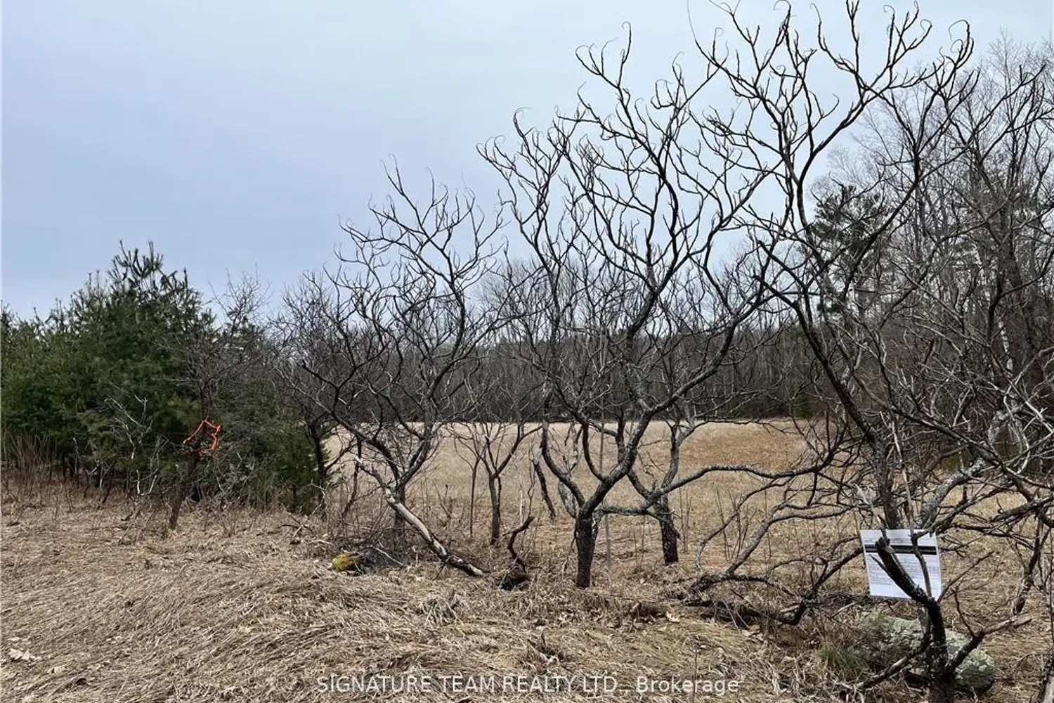Additional image 7 of 0 Grant Settlement Road