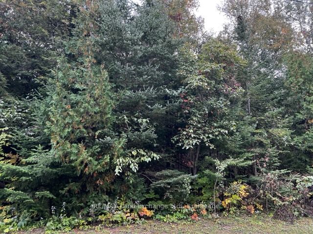 Additional image 3 of 4 Shore Road, Saugeen Shores, ON, N0H 2L0