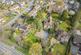 Additional image 7 of Bluebell Road, Eaton
