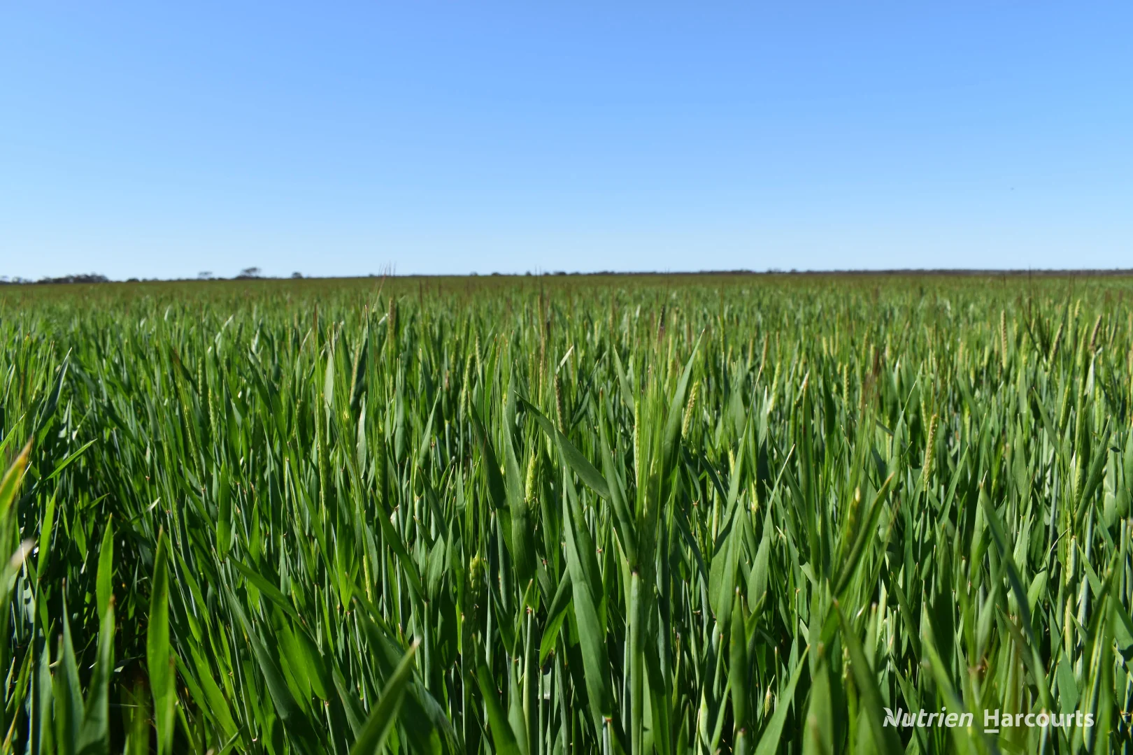 Additional image 16 of 1630 Mindarabin Road, Mindarabin WA 6336