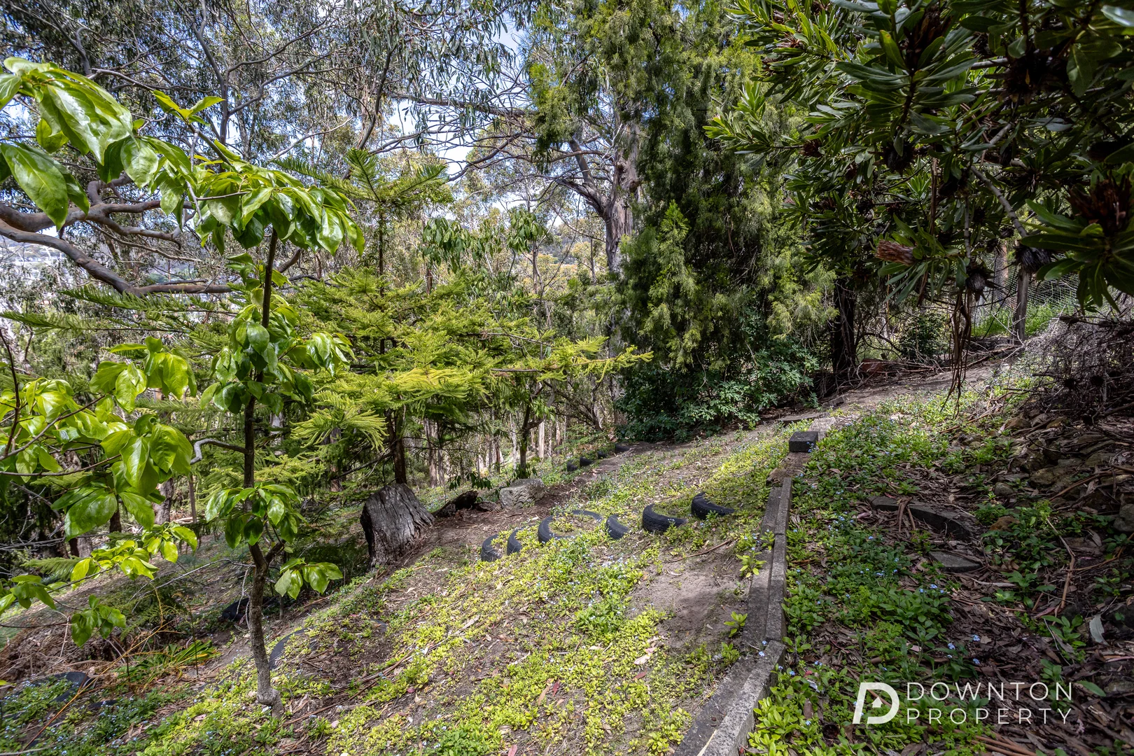 Additional image 6 of 63 Liverpool Crescent, West Hobart TAS 7000