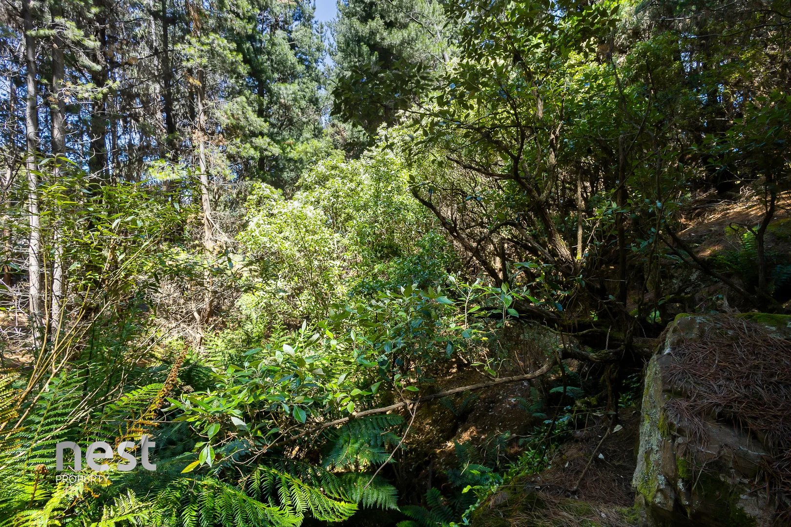 Additional image 29 of 464 German Town Road, St Marys TAS 7215